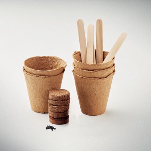 Flowers growing kit - Image 5